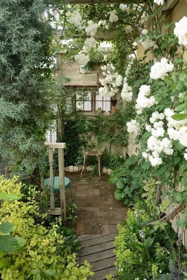 历时19年，小哥熬成大叔，不断改造进化的4㎡小院子！-46