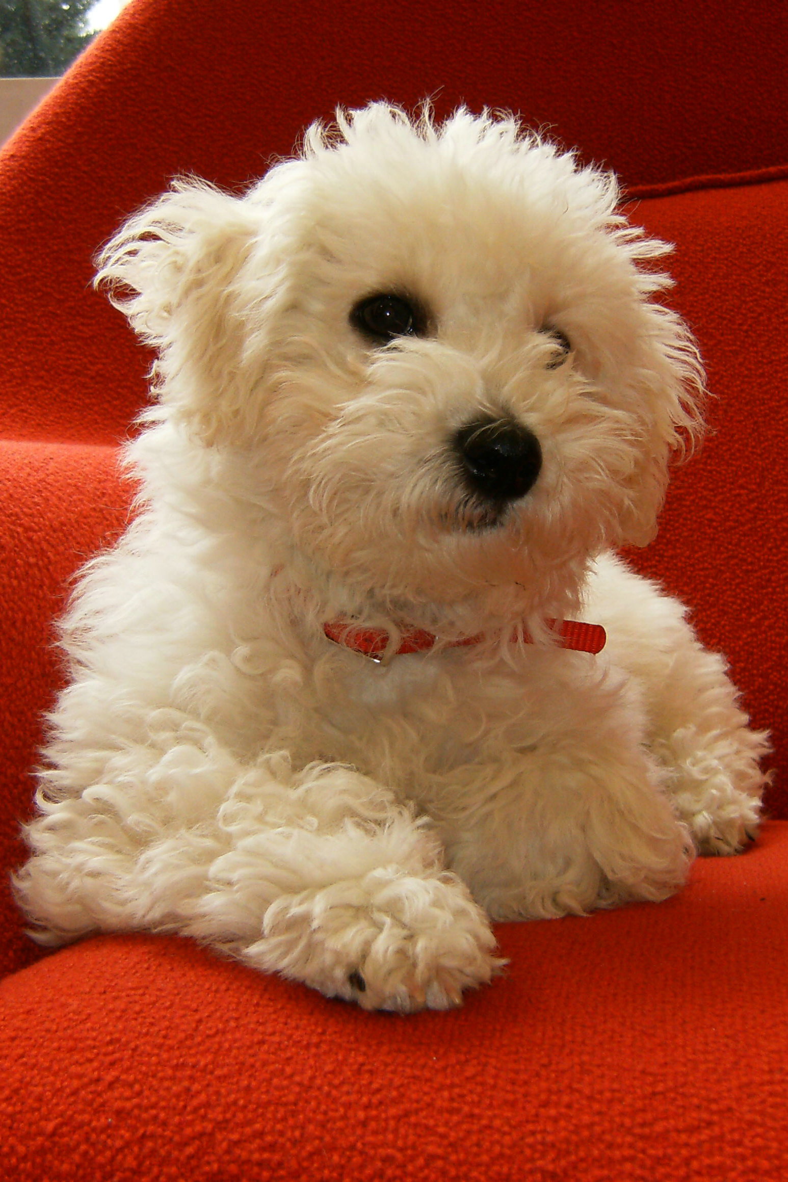 HOTEL INDIGO ARCHITECTURAL CTR-35