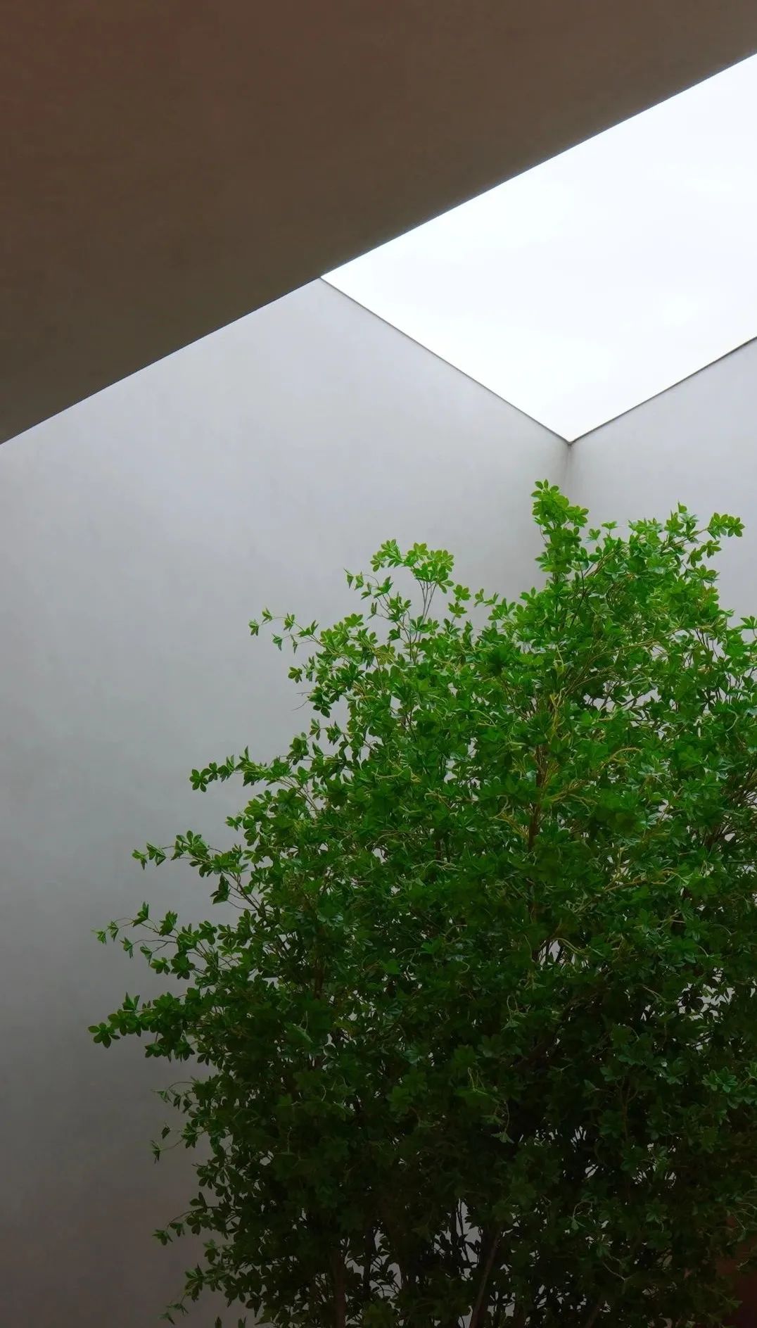 瑞典Beckers艺术漆展厅丨中国佛山丨兰墨设计-36