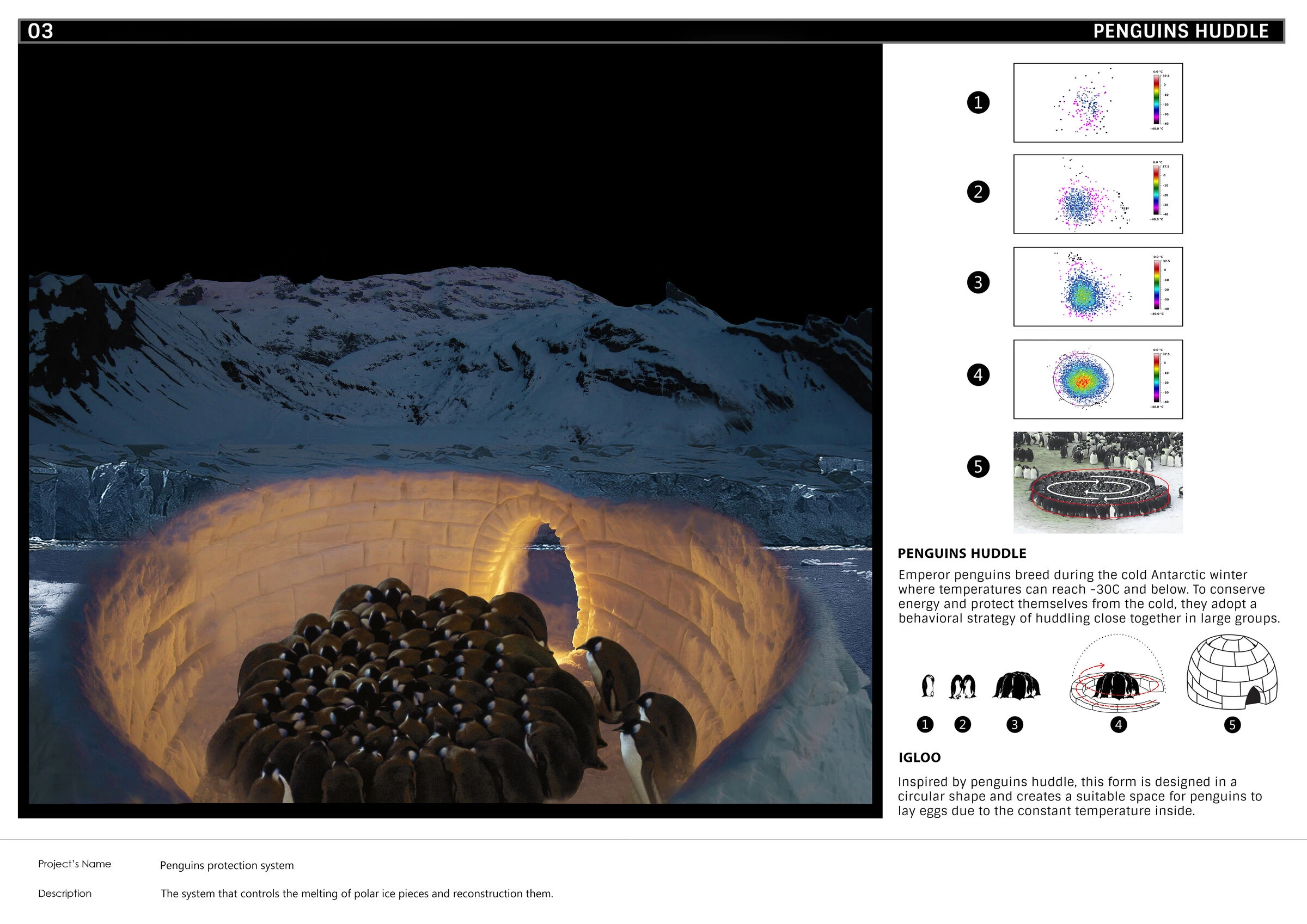 南极企鹅保护系统丨SN（Sajjad Navidi）-27