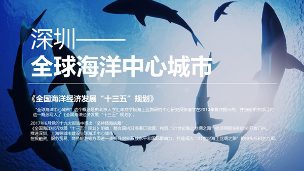 海洋新城-品牌/策划2019-8