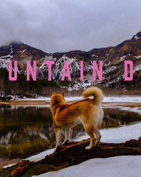 Mountain DOG days of spring