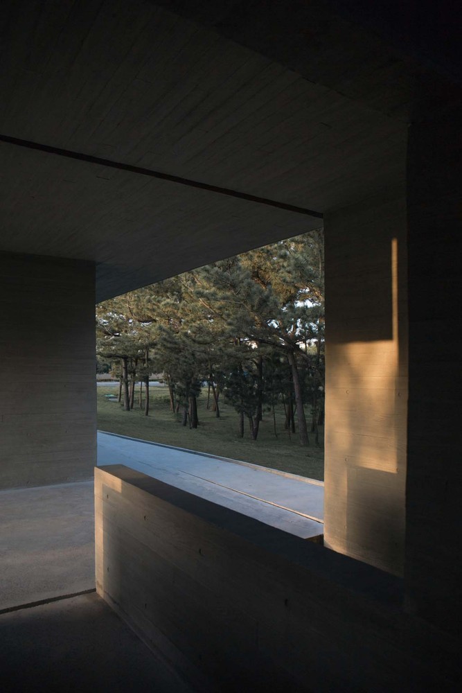 迹·建筑事务所 | 天鹅湖湿地公园景观廊及观鸟塔-20