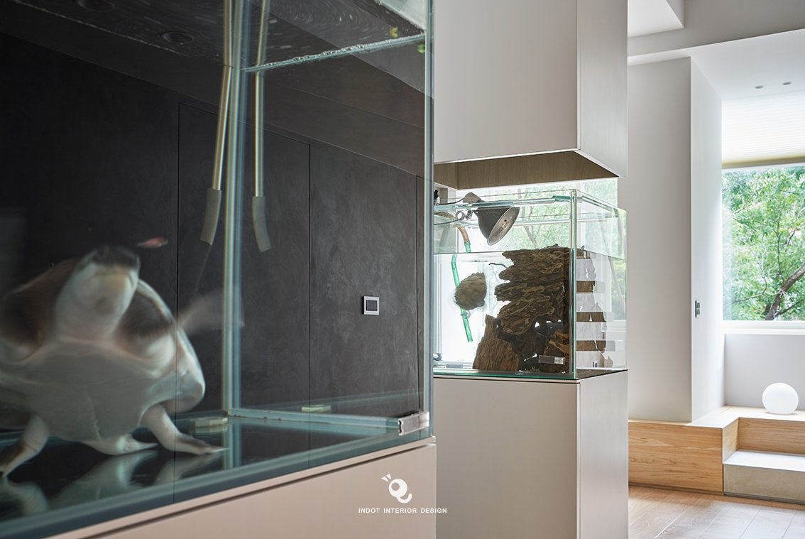 绿树之间 · 台北住家设计丨中国台北丨虫点子设计-19