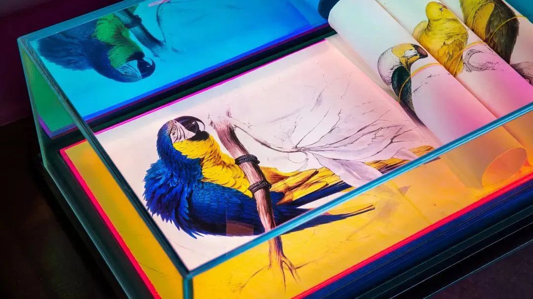 玉玲珑餐厅丨中国杭州丨陈林等三十多位艺术家-41