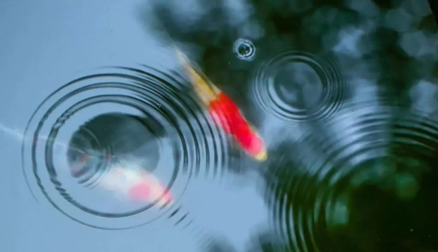 江苏南通海门·鸿麦家园-51