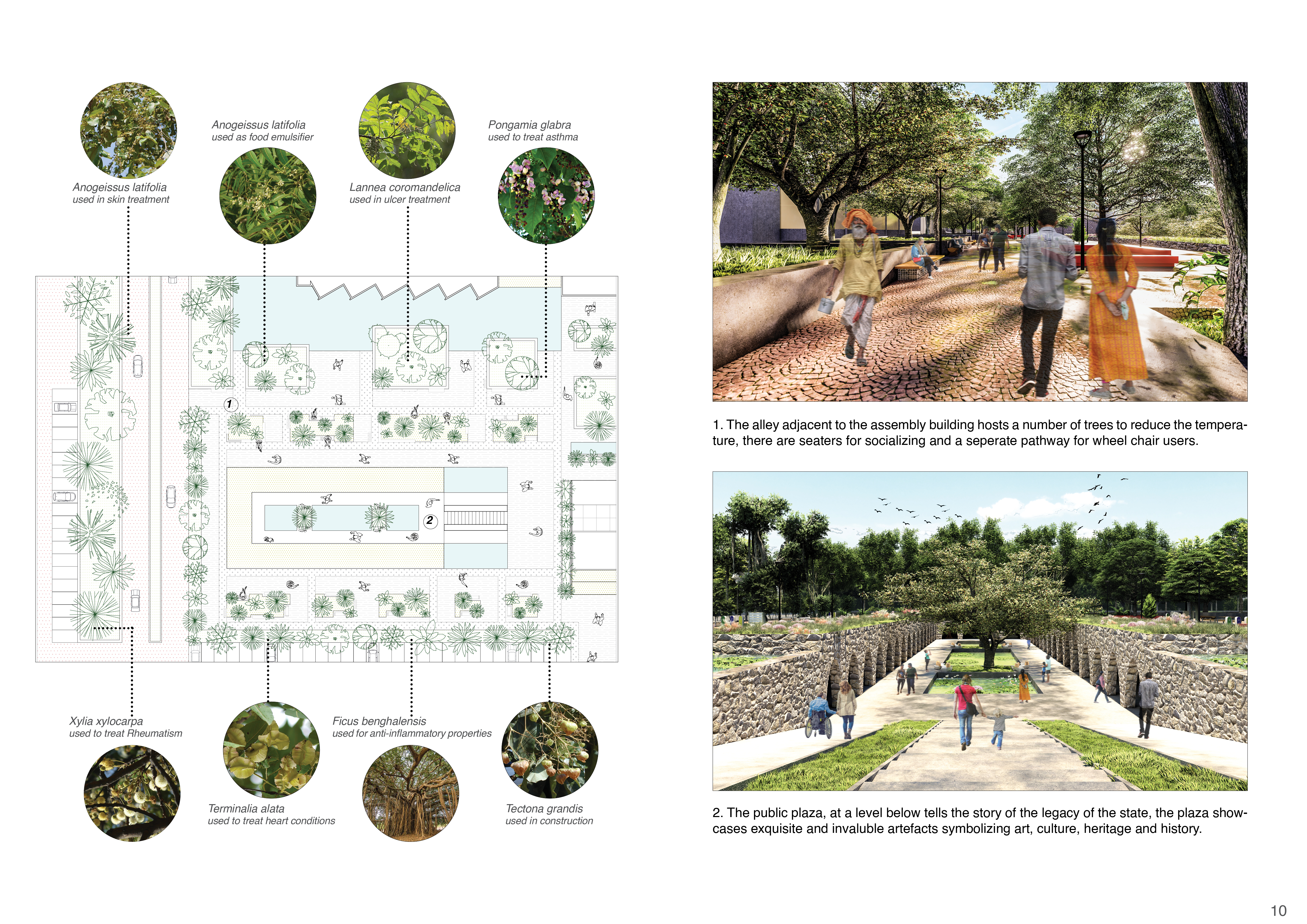 Landscape Portfolio-11