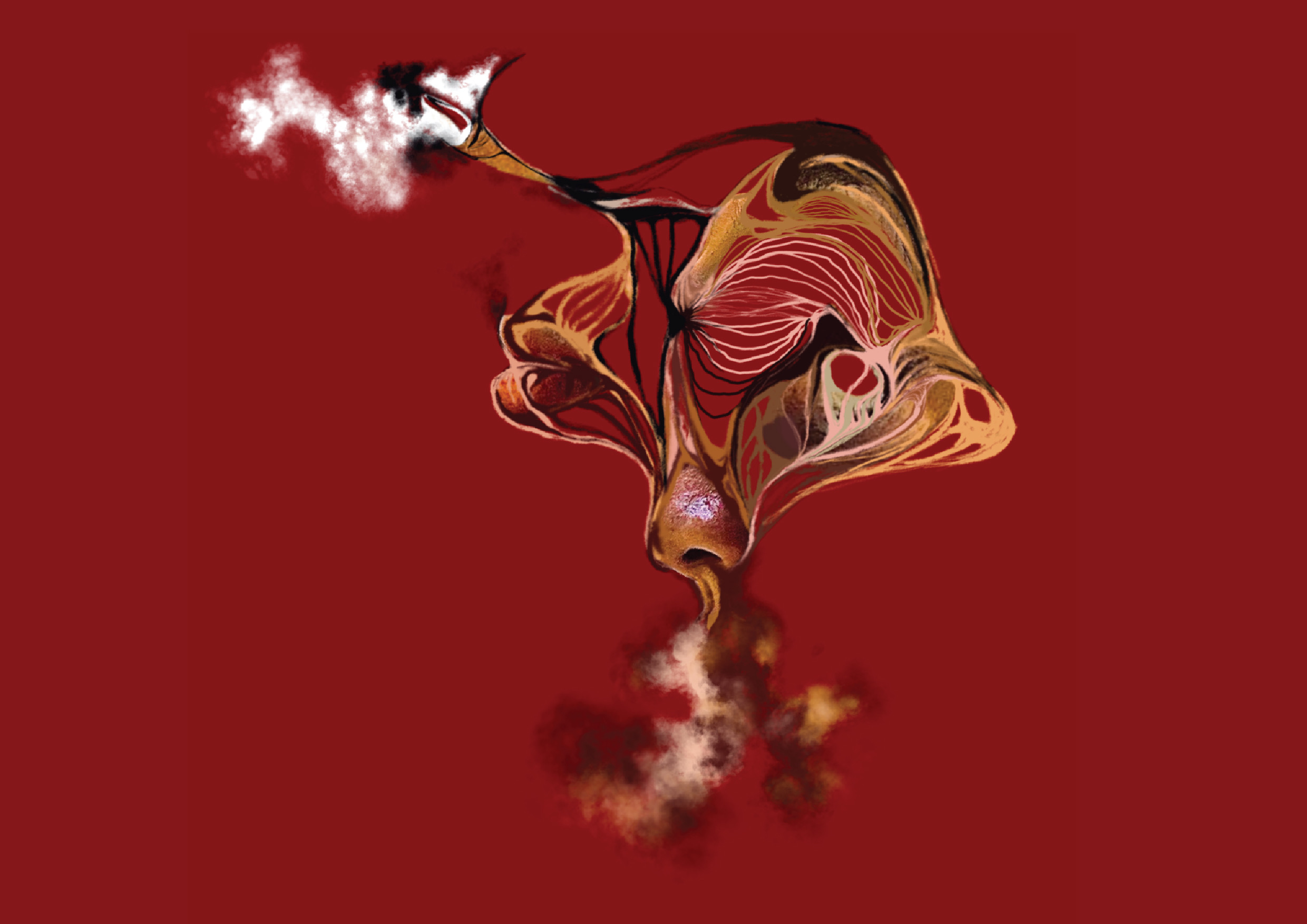 MEs_Mutation-28