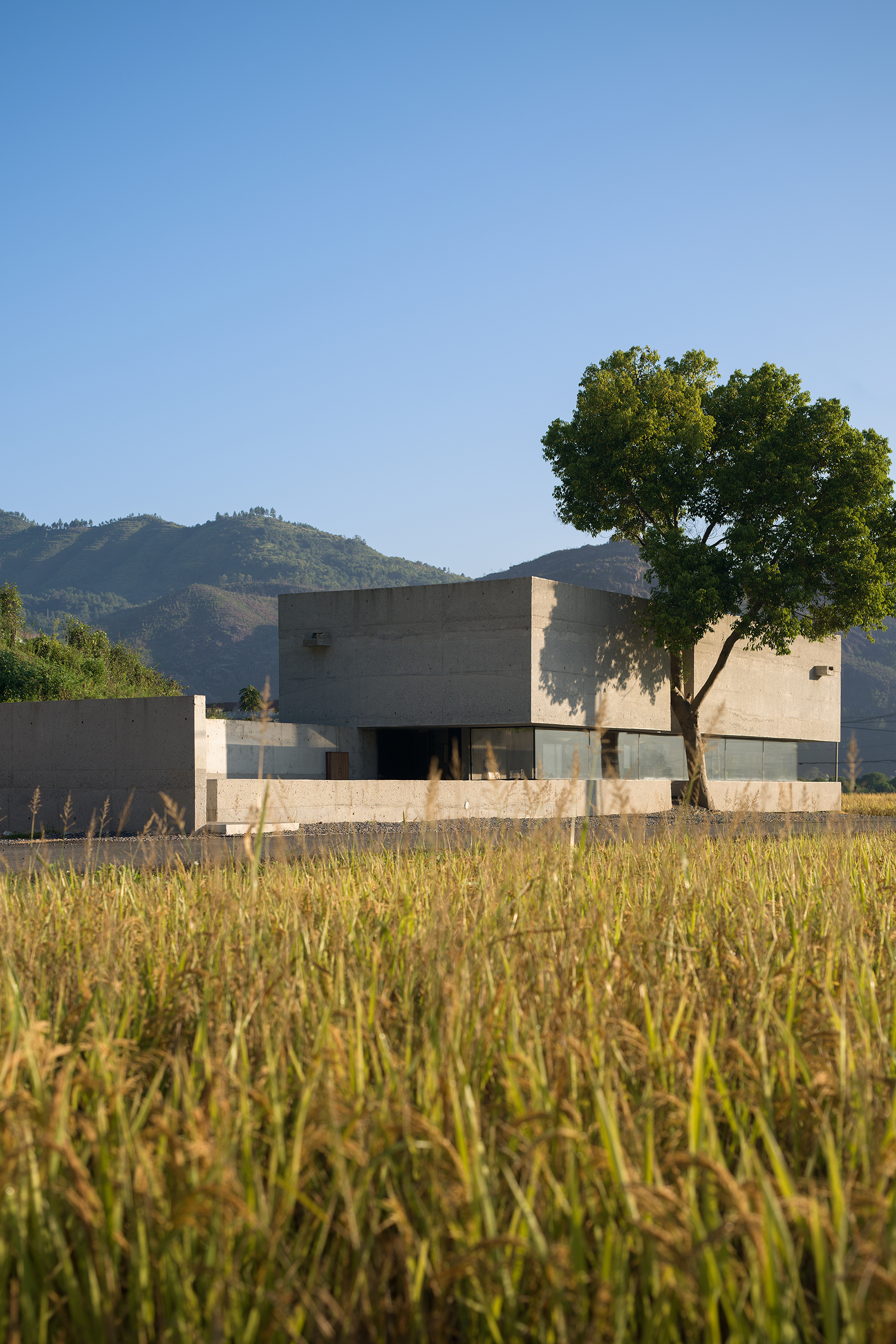 磨迹抹茶  藻溪店丨中国温州丨杭州偲所设计-4