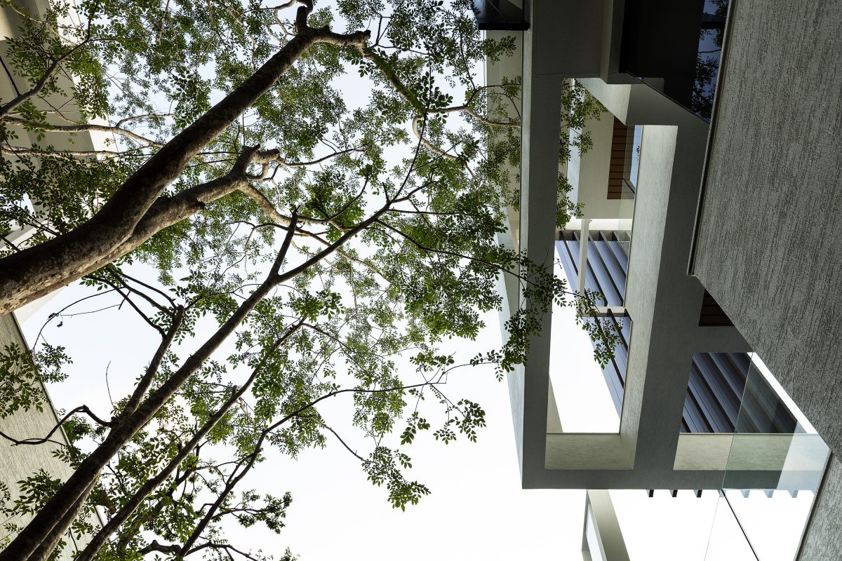 橙田建築「Greenlight Manor」重塑人們認知的大宅空間 - WEHOUSE-1