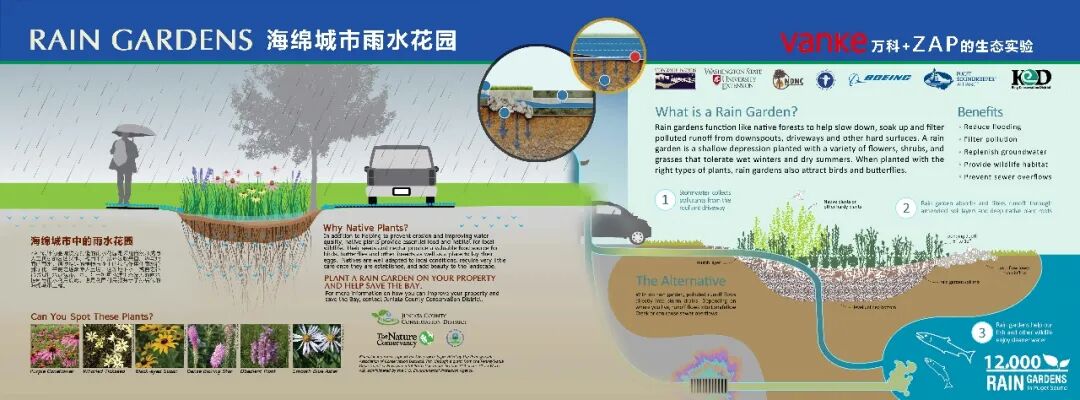 转角遇见暖意，冰城的一抹新绿 万科鲸鱼悦府丨中国哈尔滨丨ZAP ASSOCIATES-49