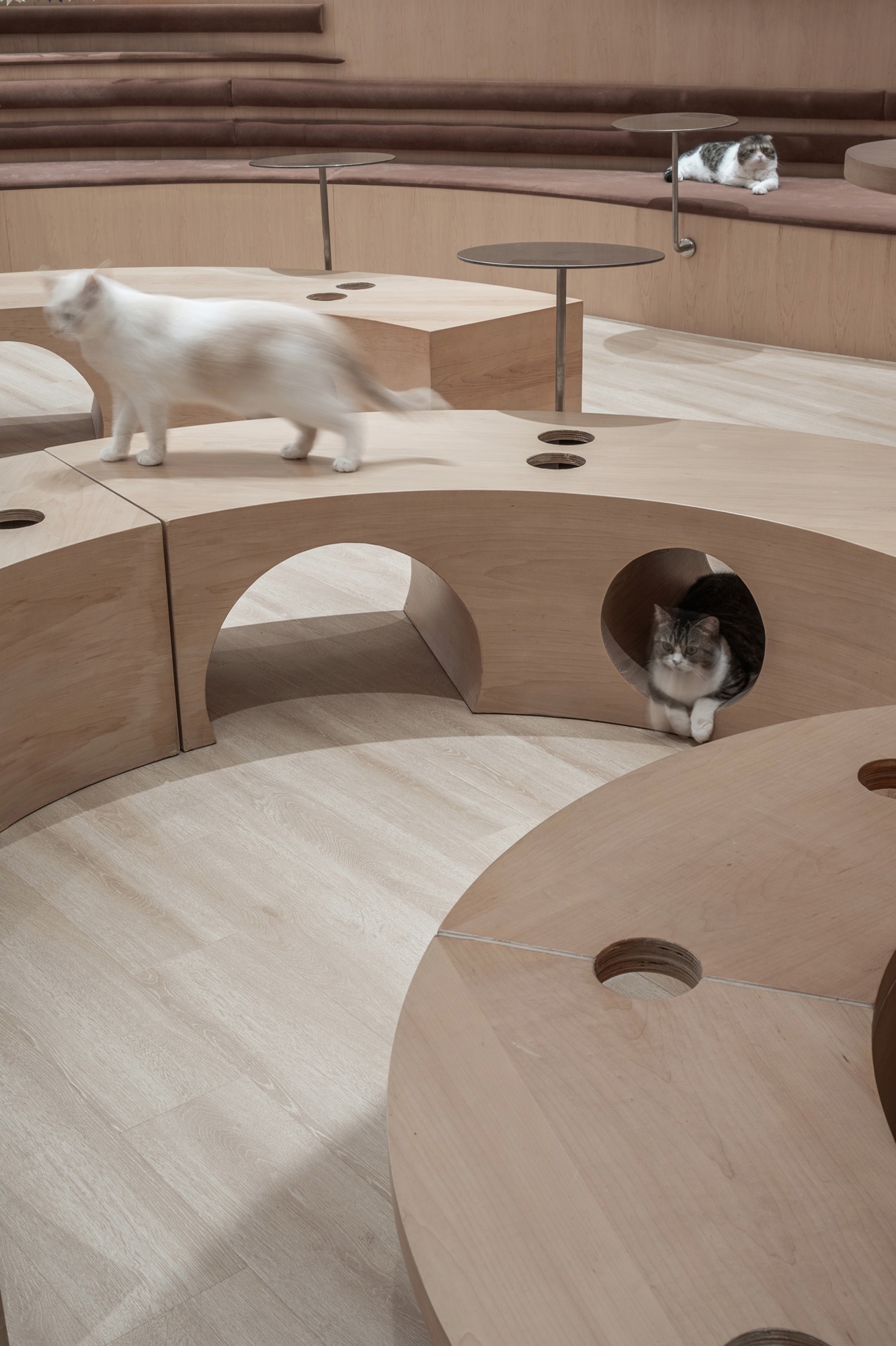 啵啵喵丨中国江苏丨无锡欧阳跳建筑设计有限公司-49