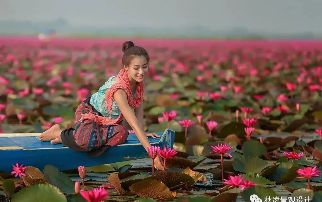 园林文化——寓意解析 | 四君子、花王与雪中四友-247