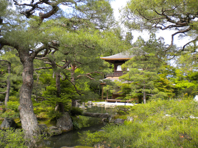 京都金阁寺银阁寺庭院景观及建筑丨日本京都-10