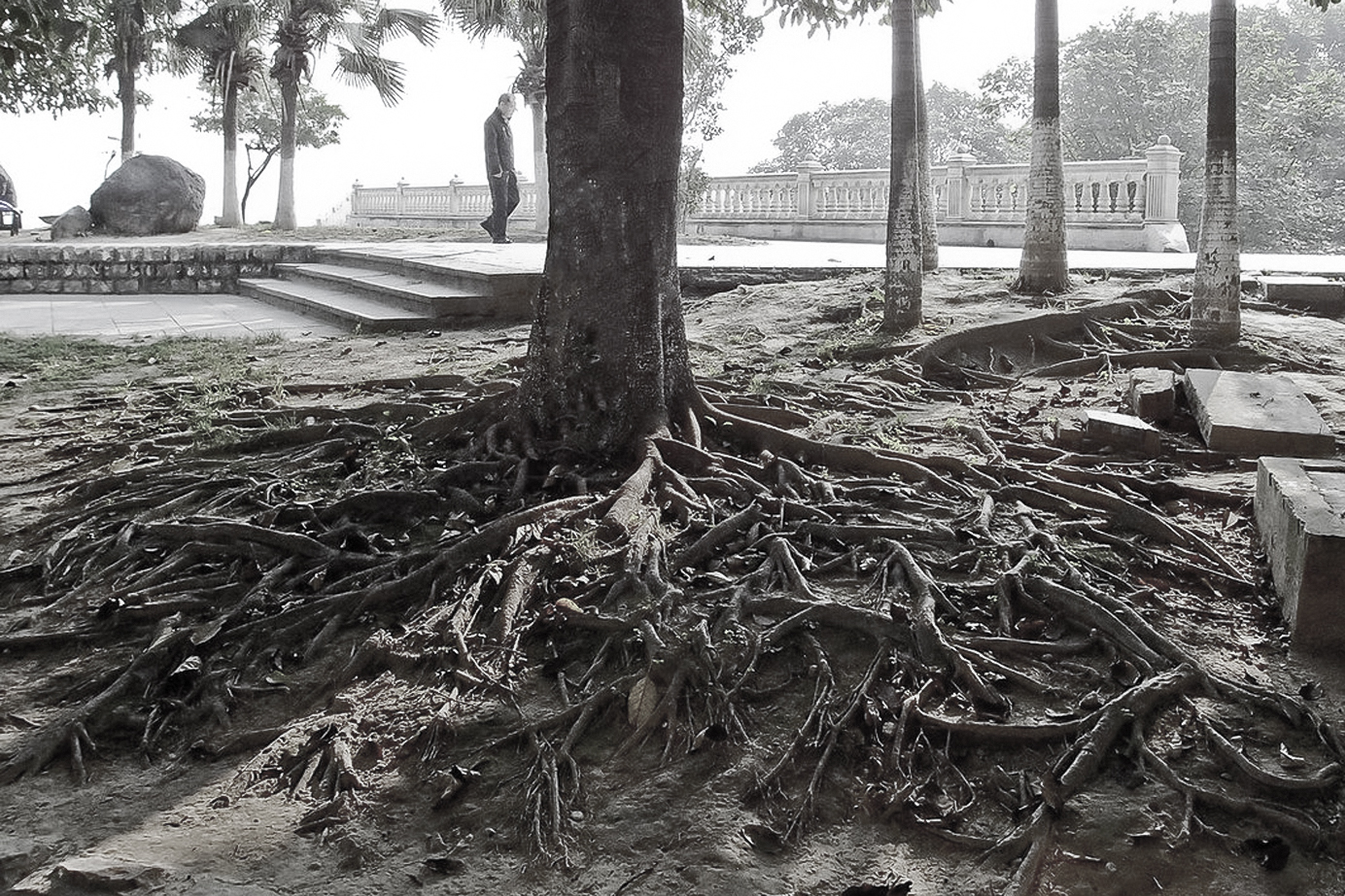 荣安·九龙壹号丨中国重庆-43