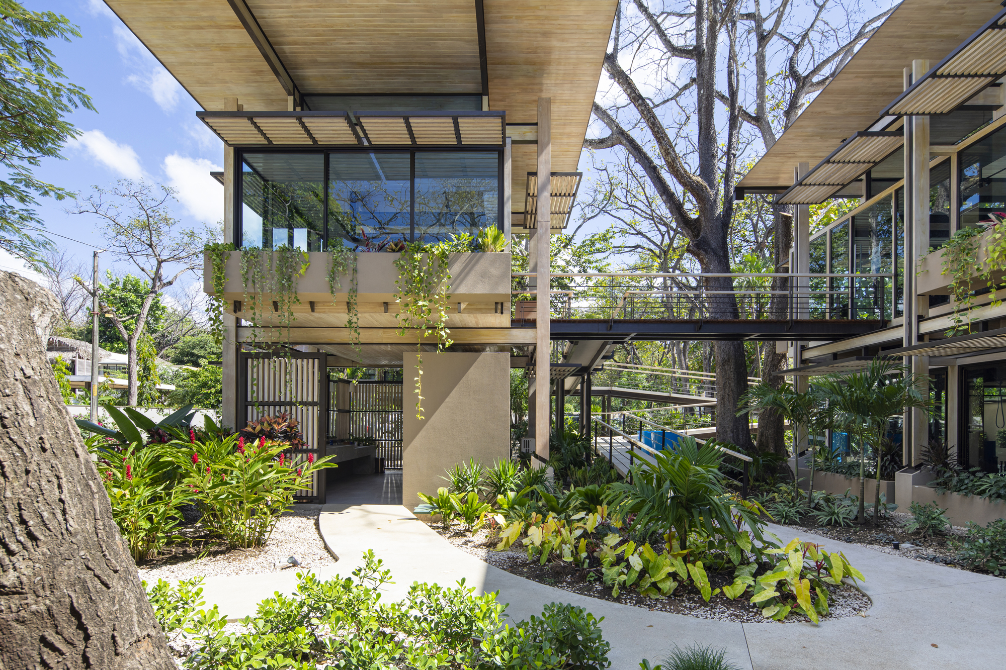 Costa Rica Athletic Center / Studio Saxe-30