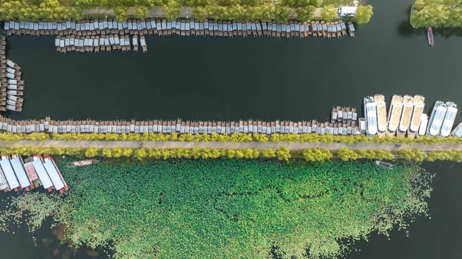 雄安白洋淀水岸公园景观设计丨TLS景观设计事务所-37