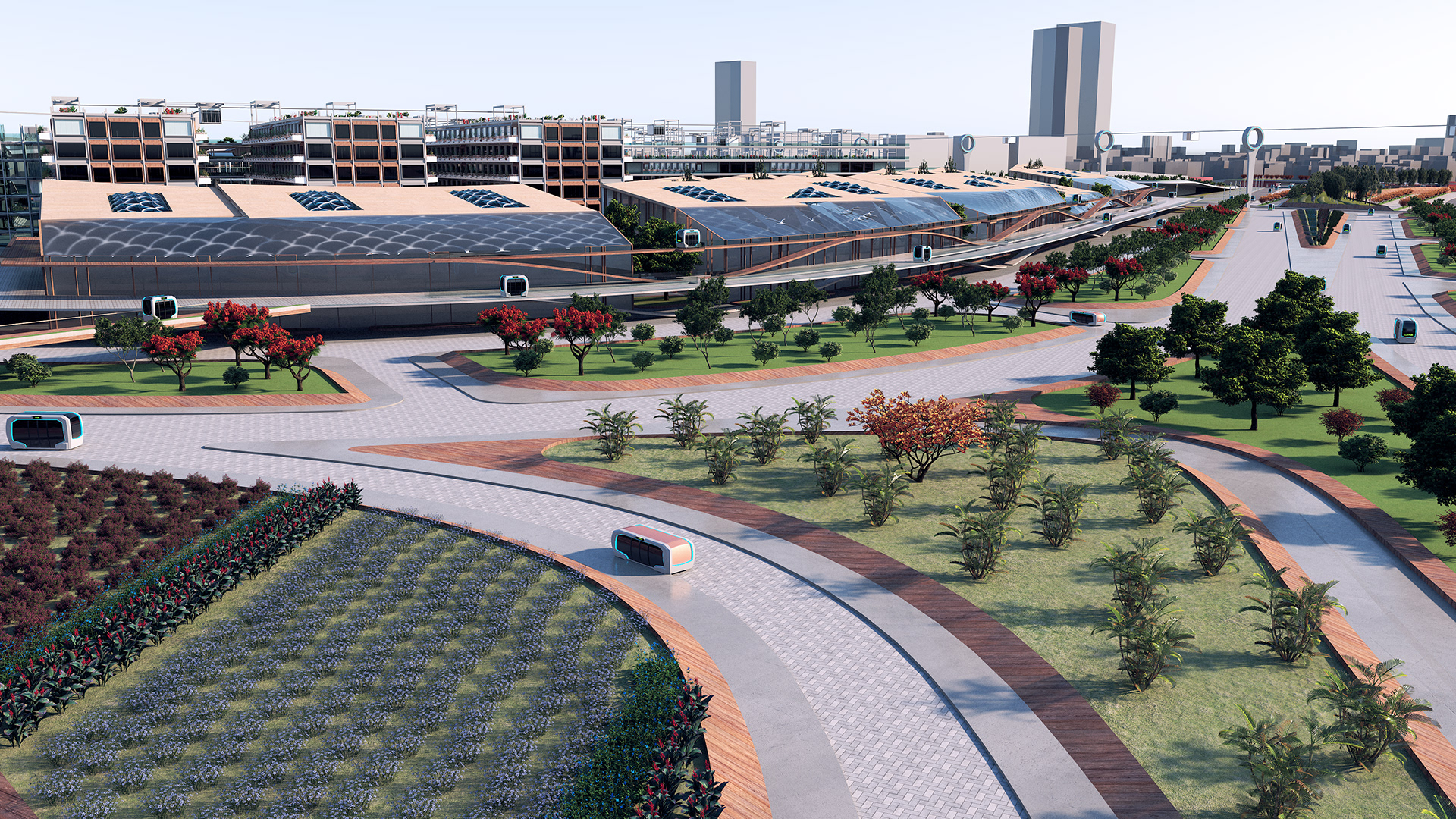 扬子江 一座年轻有韧性的城市丨中国武汉丨WDS Egypt-58