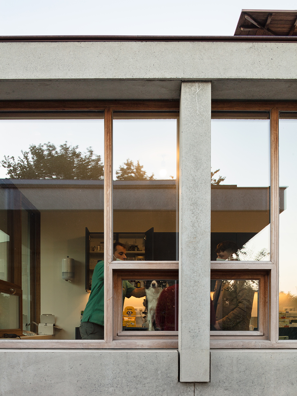 VDB住宅和兽医诊所丨比利时丨GRAUX & BAEYENS Architecten-80