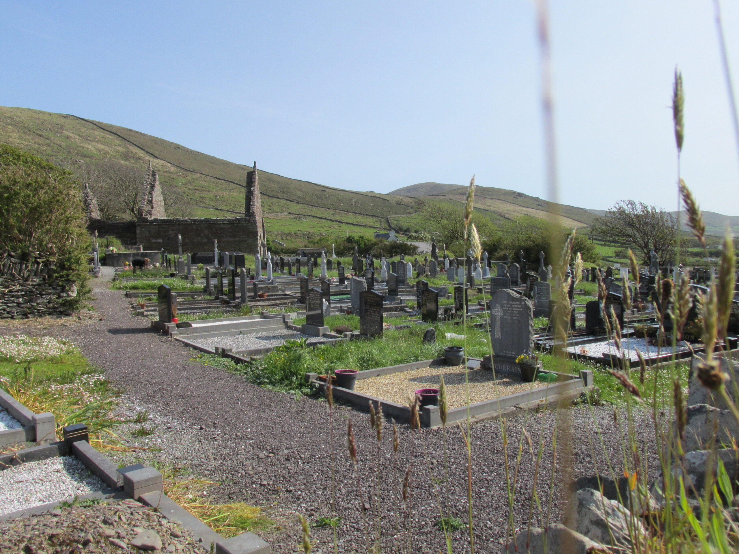 丨IrelandKerry丨无相关信息-13