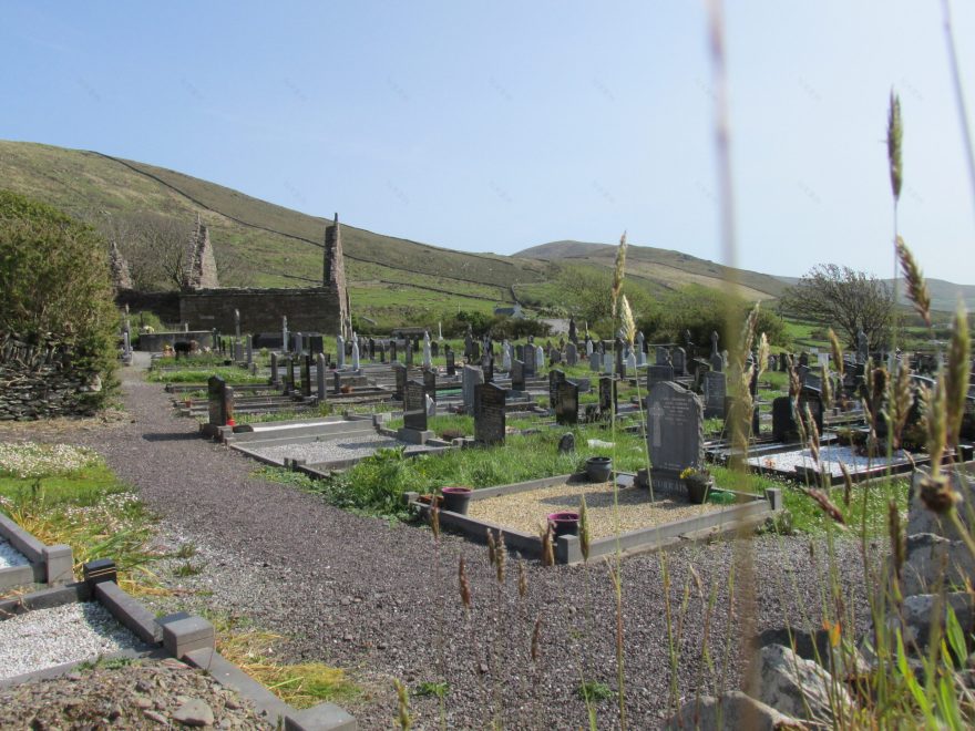 丨IrelandKerry丨无相关信息-13