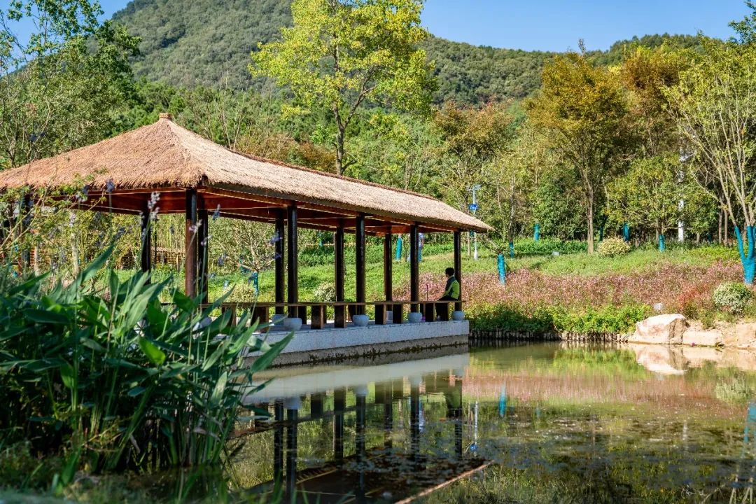 溧阳 1 号公路汨罗灞驿站丨中国江苏丨上海亦境建筑景观有限公司,上海交通大学设计学院风景园林研究所-41