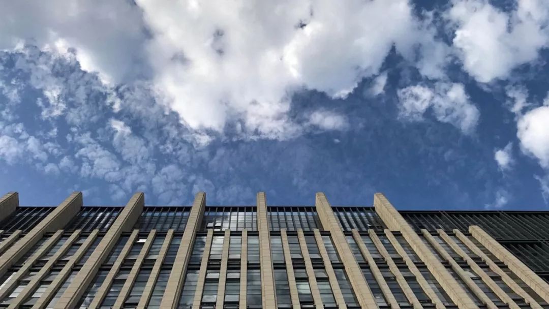 绿意盎然的大屯办公楼 | 清华大学建筑设计研究院总部-85