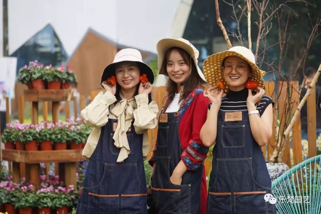 乐梵园艺打造成都花木博览会快闪花园,惊艳全场-112