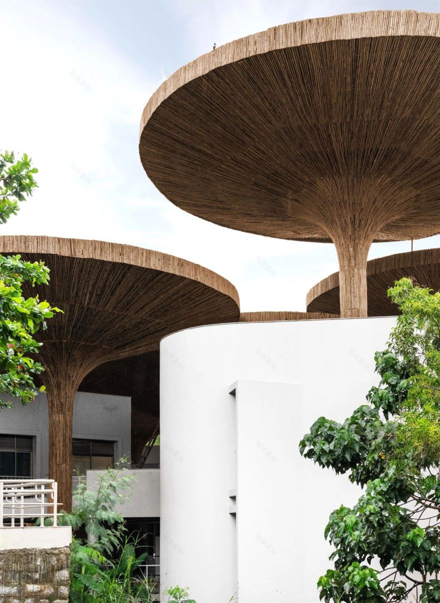 内向生长,构筑精神的故乡丨印度哥印拜陀-99