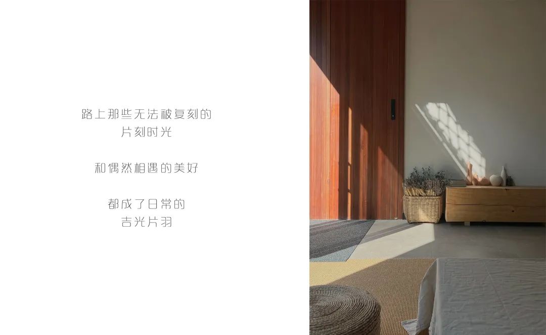 MS·MORE 的诗意人生丨中国重庆丨MS·MORE 创始人-23