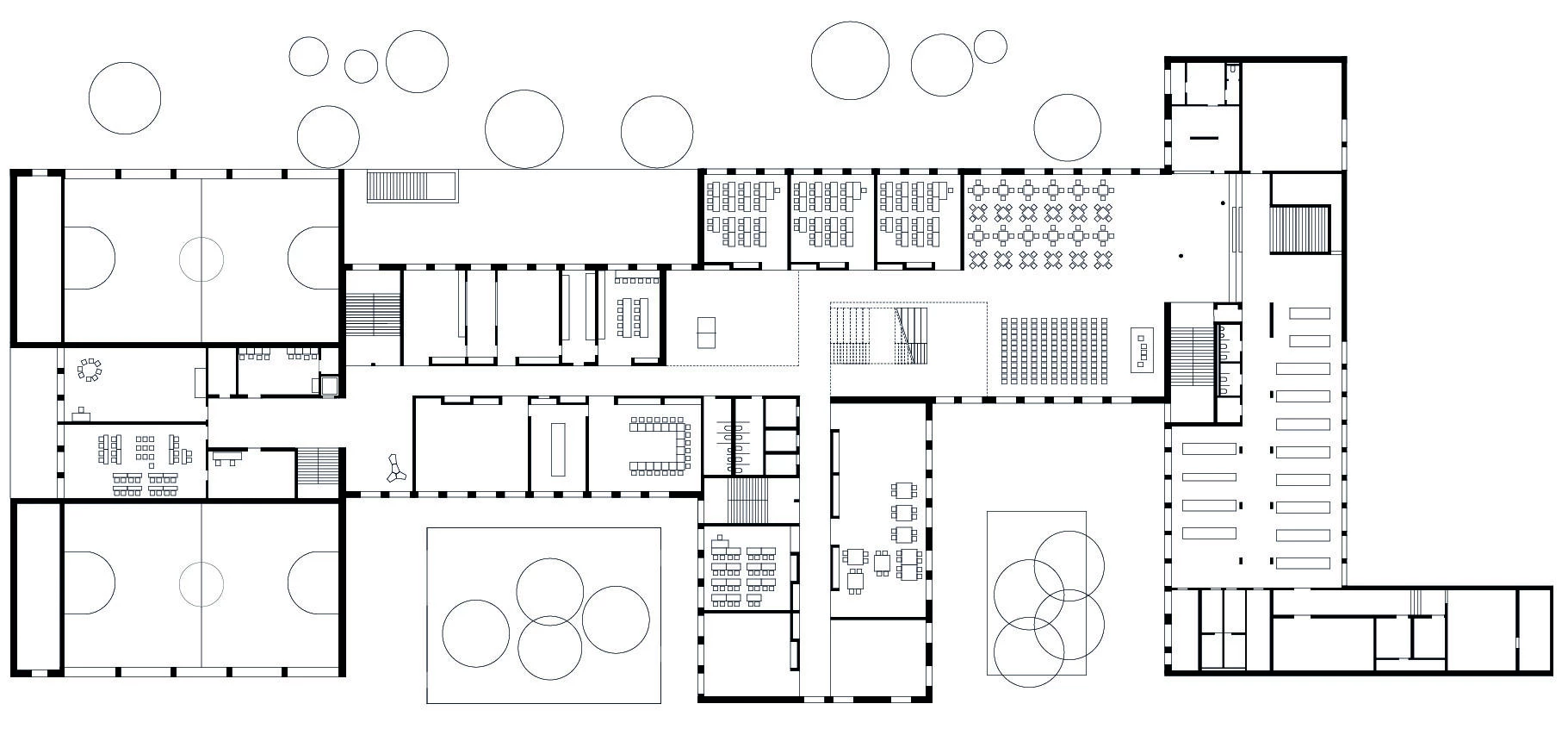 Konrad Lorenz 中学丨奥地利丨Franz&Sue-29