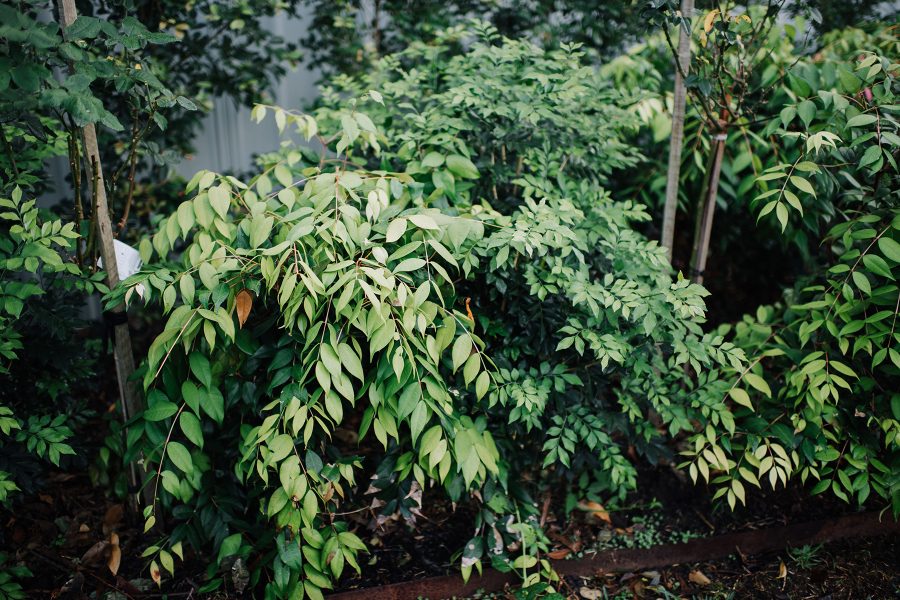 赫斯基森项目  GNK景观设计公司（这里GNK为特定名称，若无更多背景难以更精准翻译，推测一般为专业领域的公司名称，Landscapes可理解为景观设计公司等相关含义） -9