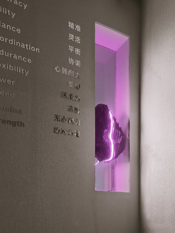 BEASTGYM 野兽馆健身房丨中国广州丨美林设计集团-57