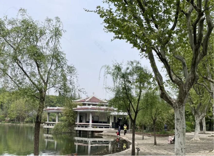 中国园林·理事专栏|“拓”之力量:杨浦公园改造纪实(三)-223