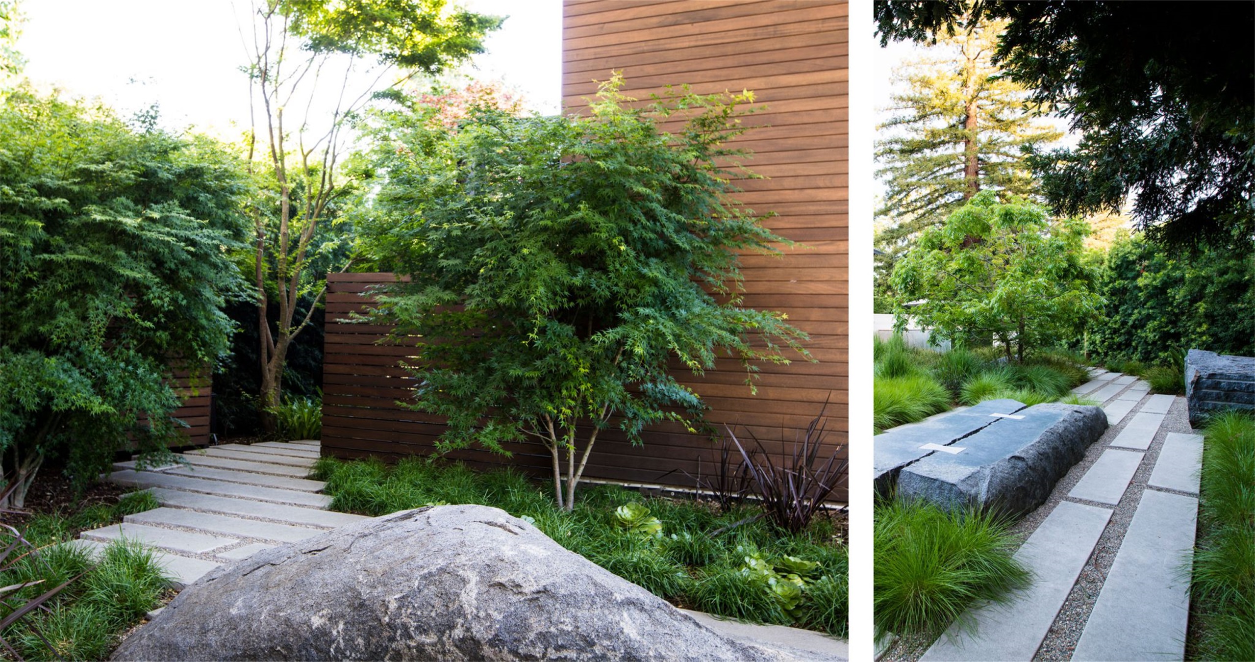 自然生长 · 私宅景观丨美国加利福尼亚-119