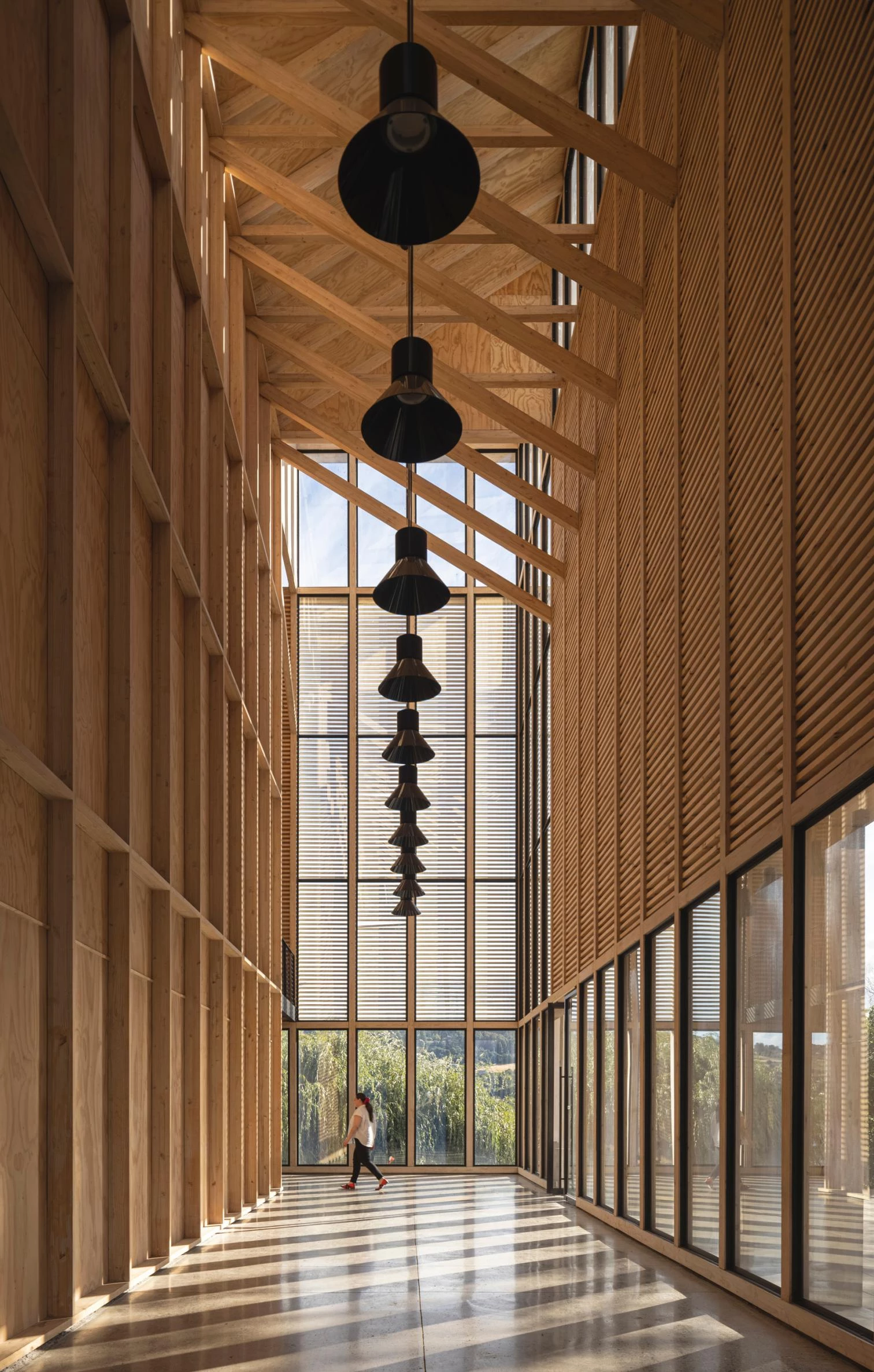 Panguipulli 艺术教育剧院丨智利丨Pablo Casals Aguirre-17