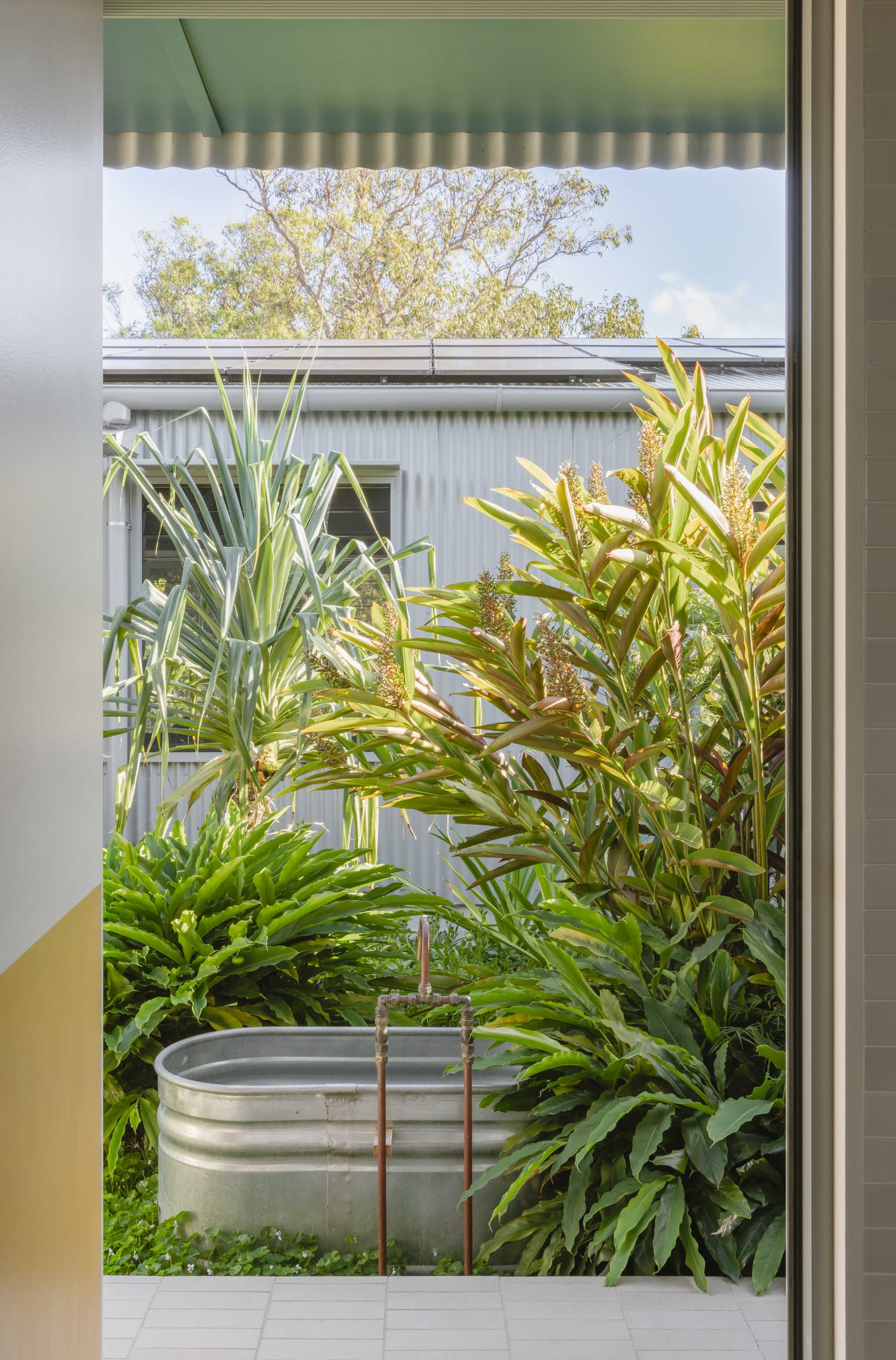 格雷博·

说明：由于Greybo可能是人名、品牌名等专有名词，这里按音译处理若有具体背景信息，可进一步优化翻译 丨澳大利亚新南威尔士丨Welsh + Major-6