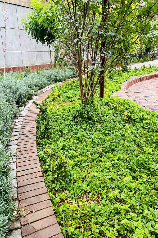 بوستان سه کنج(波斯语,可音译为“三角落花园”)丨伊朗-58