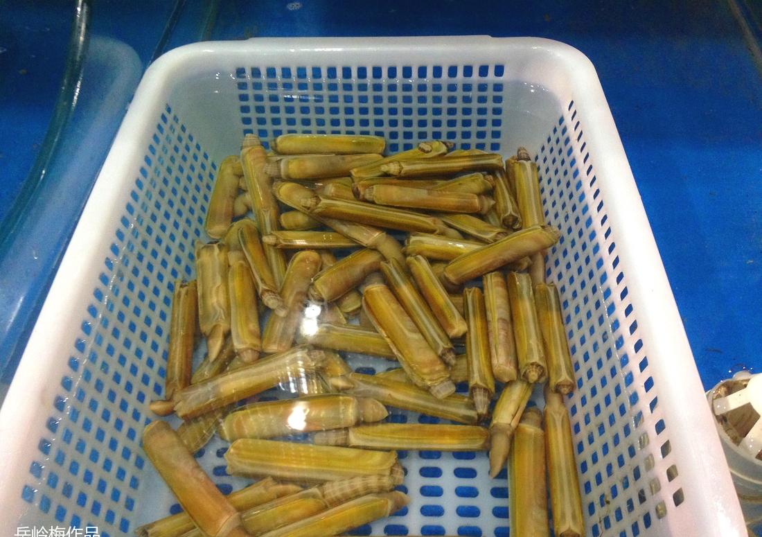 "八鲜过海"复古风室内设计,打造美食与回忆的温馨空间-73