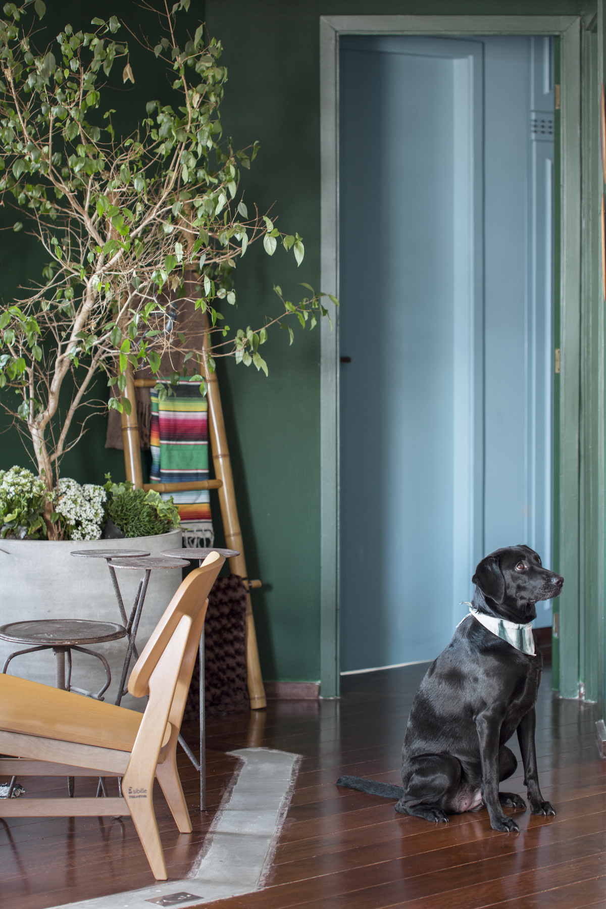 玛加公寓丨巴西圣保罗丨Angá Arquitetura-39