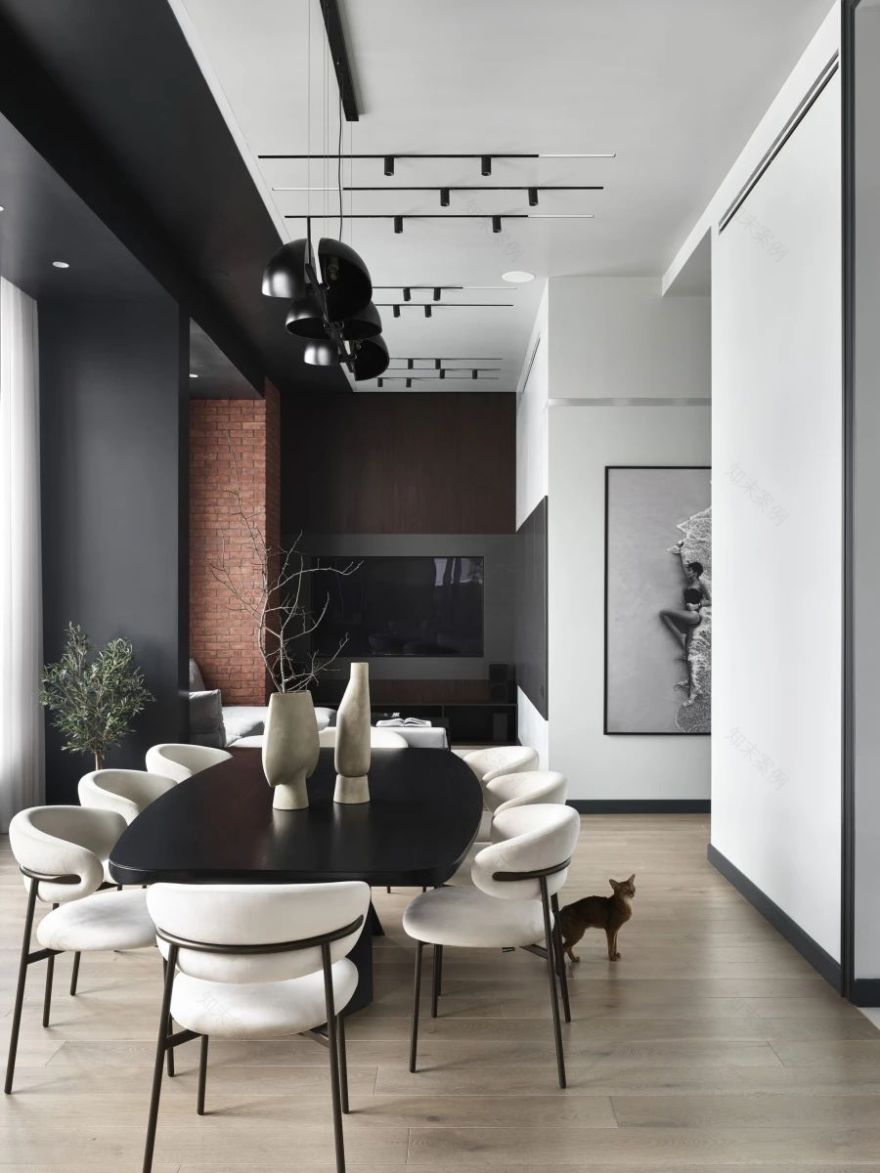 顶层公寓室内设计-3