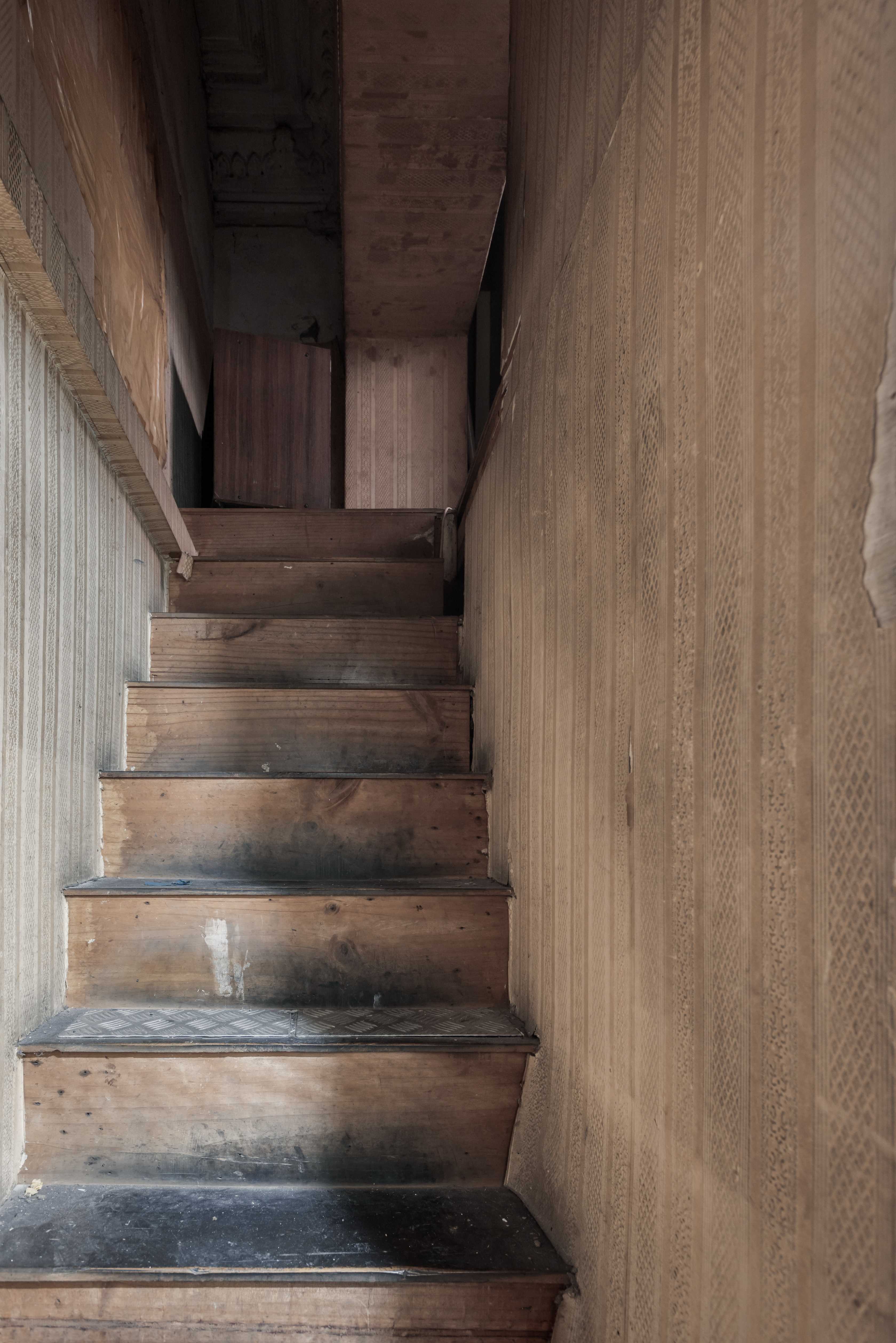 revival of dianchi 100-70