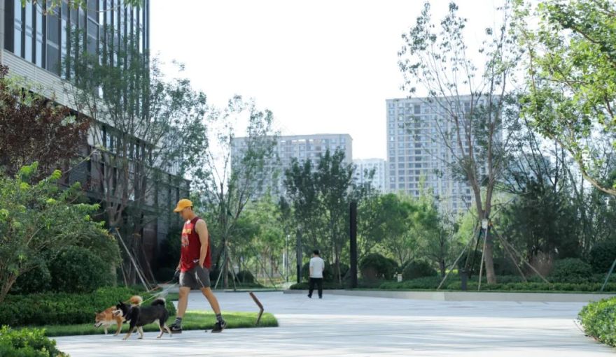 北京远洋新天地景观改造丨中国北京丨远洋生态·北京远洋景观规划设计院有限公司-89