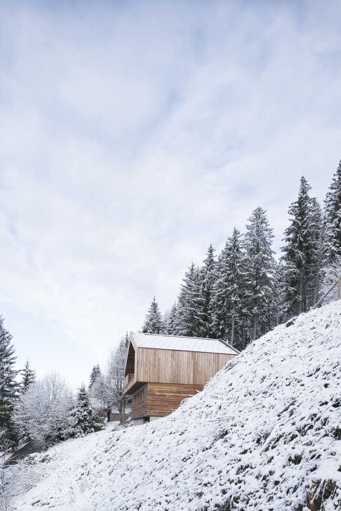 遵循传统,超越传统的阿尔卑斯山住宅-53