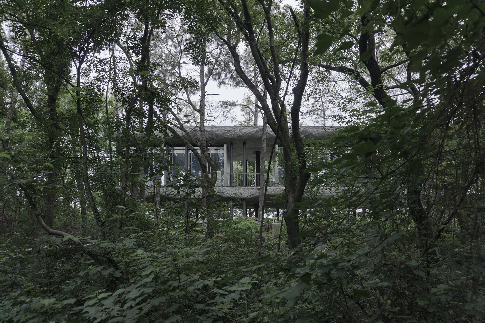 谷里的窗,树上的云,南京四方艺术湖区公共卫生间丨中国南京丨南京大学建筑规划设计研究院有限公司 物物建筑-74