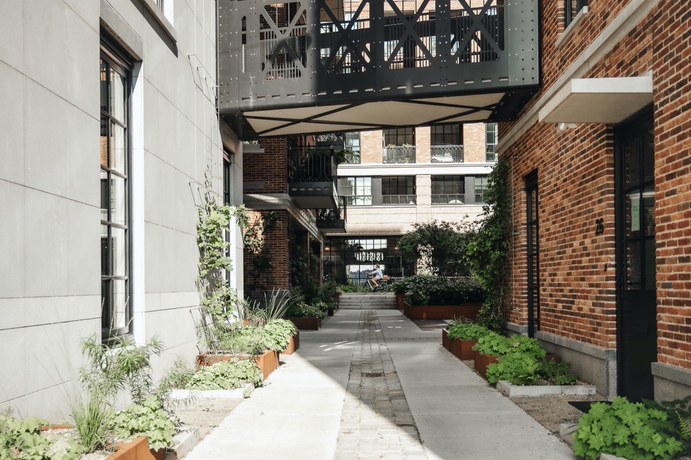 绿意盎然的小 C · Rotterdam 城市新地标丨荷兰鹿特丹-16