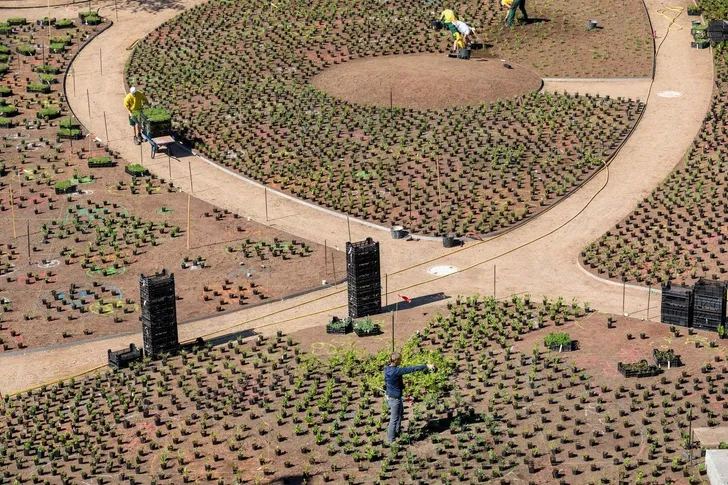 Vitra校园花园项目丨皮特·乌多夫(Pit Oudolf)-12