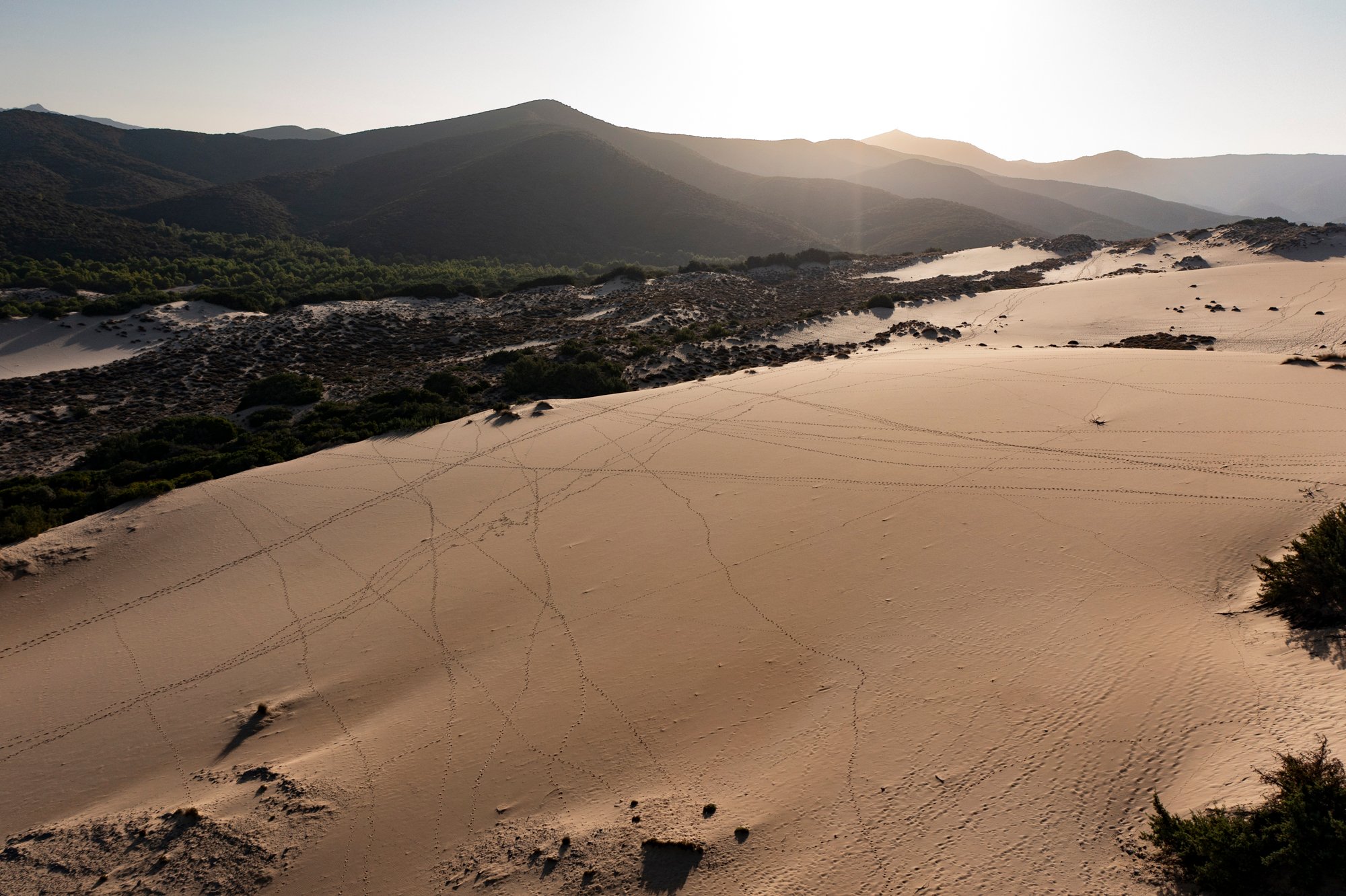 乐沙丘泳池酒店丨意大利丨PLAG STUDIO-122