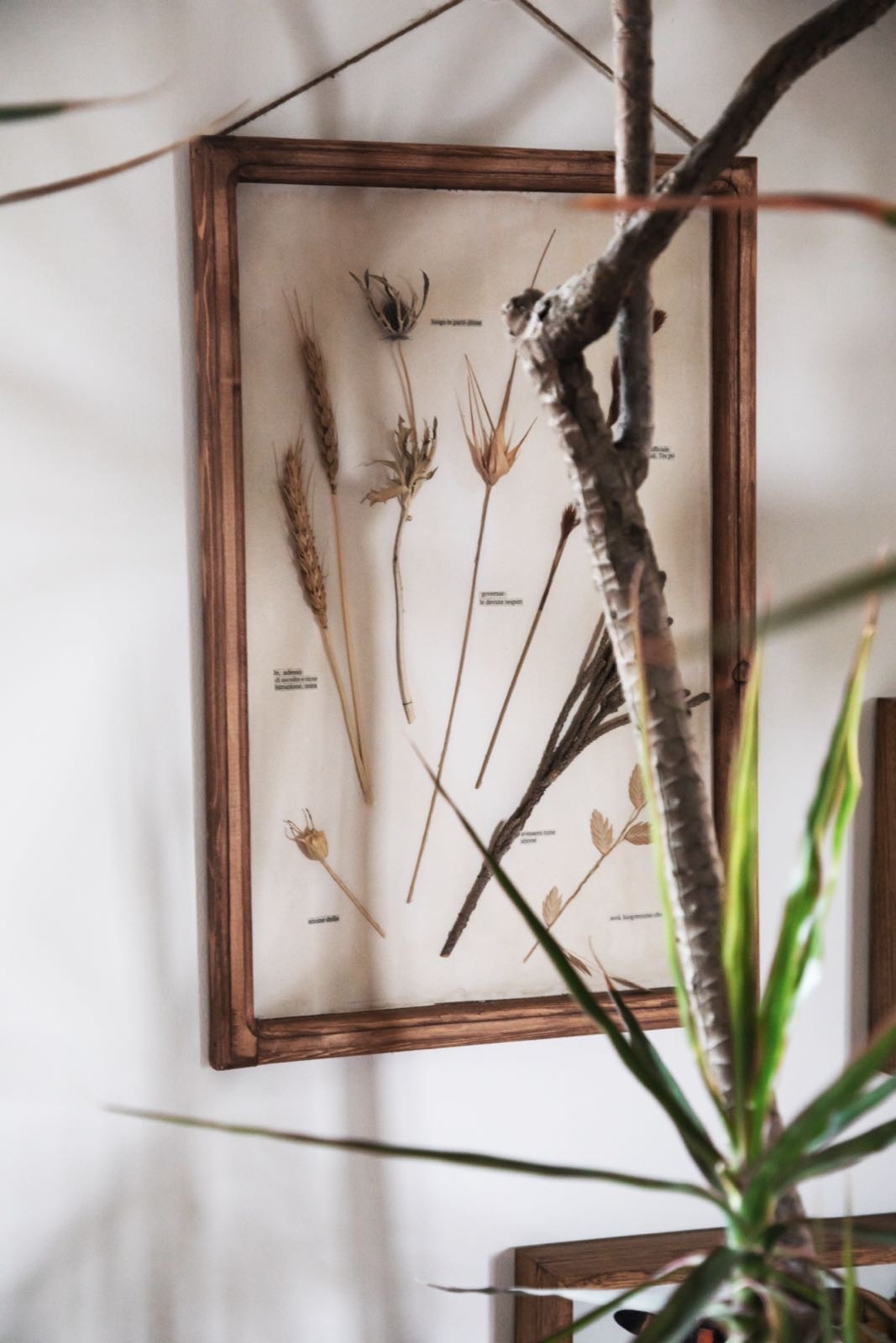 充满呼吸感的家-75