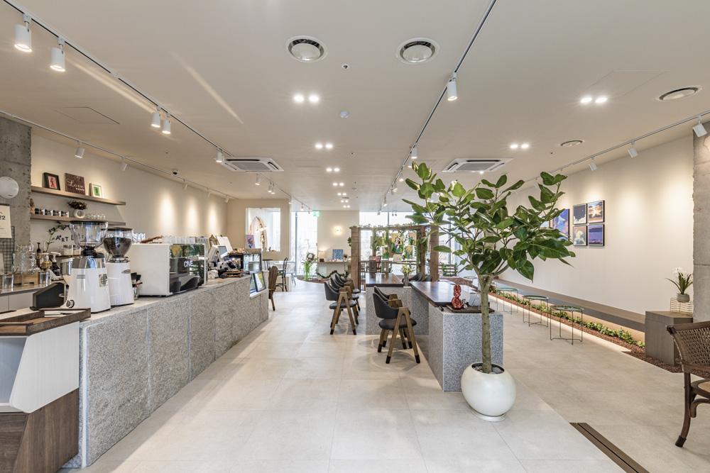 白色与木质的极简艺术 | 42 平米的精致公寓设计-2